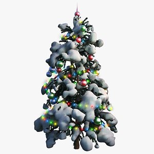 Christmas Tree Fir