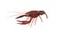 crayfish game ready
