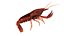 crayfish game ready
