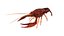 crayfish game ready