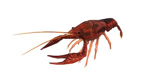 crayfish game ready