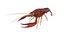 crayfish game ready