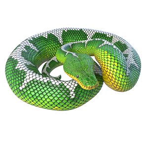 3D emerald tree boa reptile