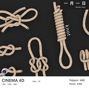 knot model