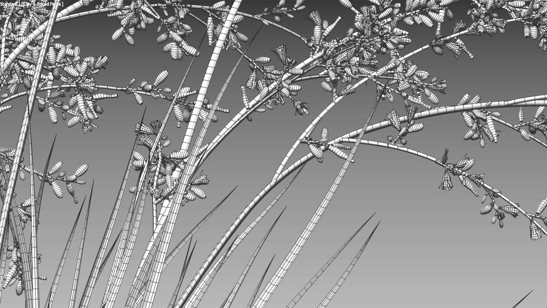 Hesperaloe Parviflora - Red Yucca model https://p.turbosquid.com/ts-thumb/G0/ygiOxM/nw/hesperaloeparviflora14/jpg/1657696560/1920x1080/fit_q87/ff786c9c21d321204de7ff8d3827f001b116a5a9/hesperaloeparviflora14.jpg