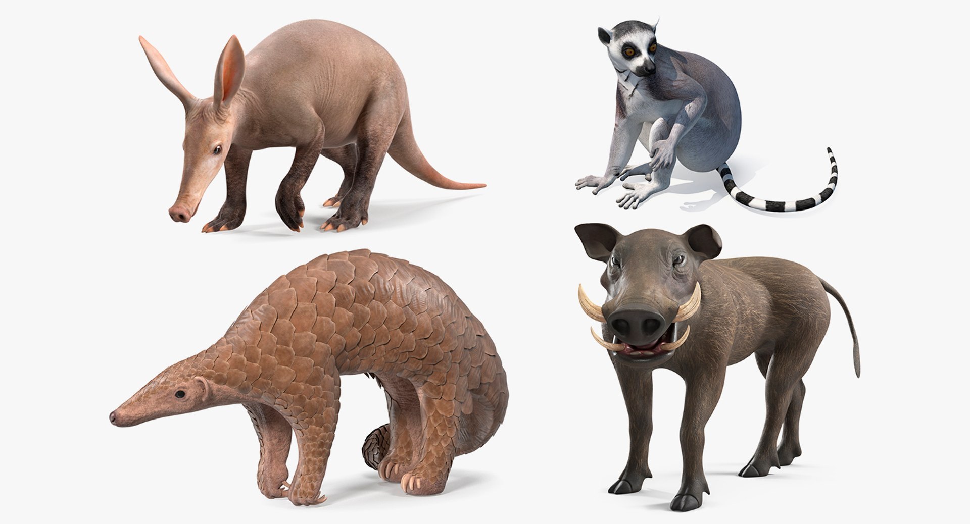 3D African Mammals Rigged for Cinema 4D Collection https://p.turbosquid.com/ts-thumb/G1/NH3OiU/81/rigged_african_mammals_collection_for_cinema_4d_001/jpg/1768121915/1920x1080/fit_q87/99be69d0e63bbaf2a1b8411146b7d9b07b95a9a0/rigged_african_mammals_collection_for_cinema_4d_001.jpg