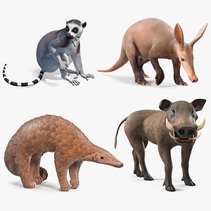 3D African Mammals Rigged for Cinema 4D Collection