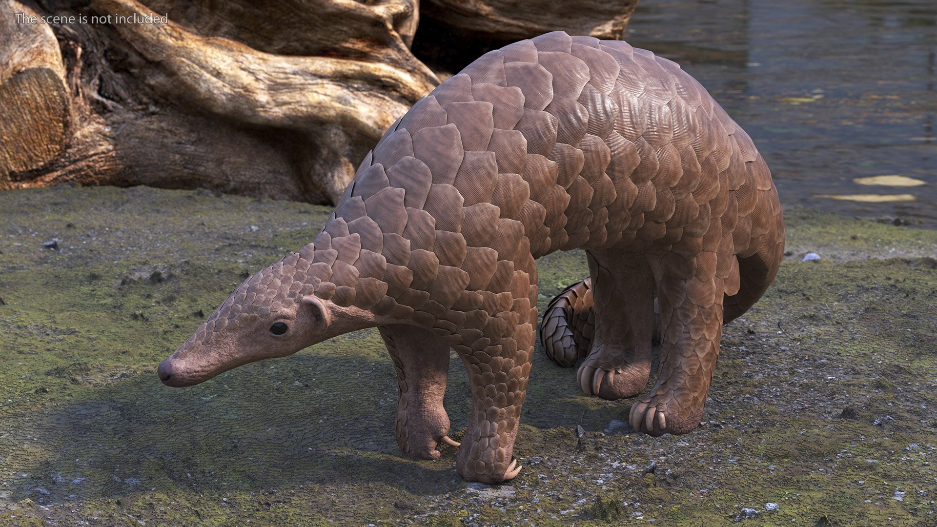 3D African Mammals Rigged for Cinema 4D Collection https://p.turbosquid.com/ts-thumb/G1/NH3OiU/Sv/rigged_african_mammals_collection_for_cinema_4d_002/jpg/1768121915/1920x1080/fit_q87/278fac375f483f6829ac597827bce63dae41cf19/rigged_african_mammals_collection_for_cinema_4d_002.jpg