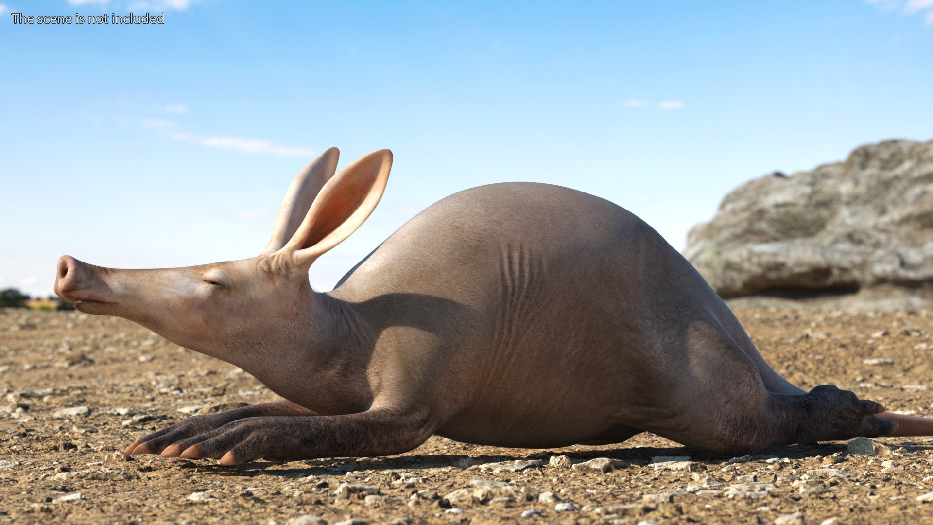 3D African Mammals Rigged for Cinema 4D Collection https://p.turbosquid.com/ts-thumb/G1/NH3OiU/Za/rigged_african_mammals_collection_for_cinema_4d_011/jpg/1768121920/1920x1080/fit_q87/64c1cc3ddf09aa39baa2840e15de3dc3d6d1b3ba/rigged_african_mammals_collection_for_cinema_4d_011.jpg