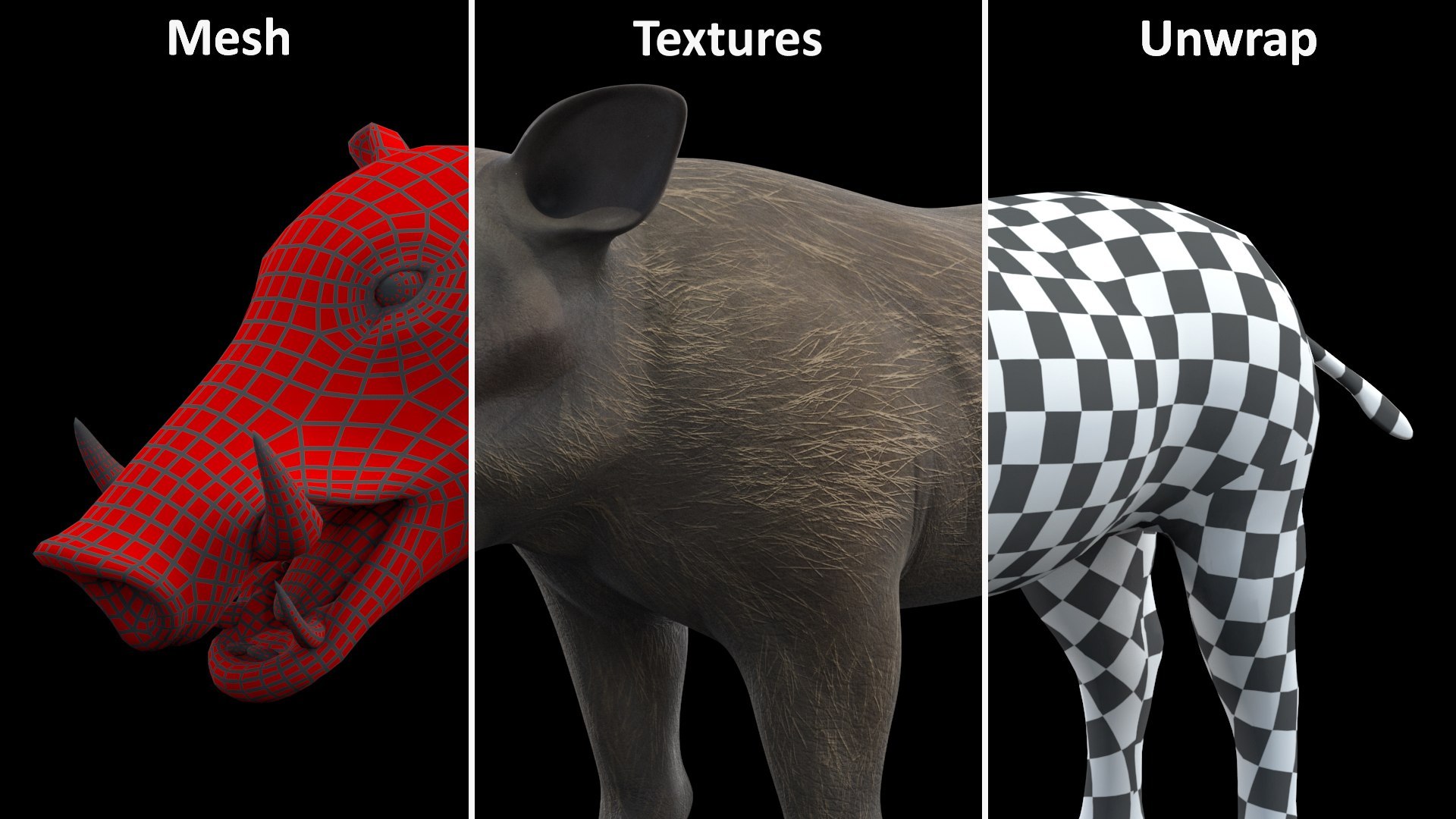 3D African Mammals Rigged for Cinema 4D Collection https://p.turbosquid.com/ts-thumb/G1/NH3OiU/Zs/rigged_african_mammals_collection_for_cinema_4d_019/jpg/1768121924/1920x1080/fit_q87/7afd5cf18c6b6f5f35bd80765d0fac17dbb1bd6e/rigged_african_mammals_collection_for_cinema_4d_019.jpg