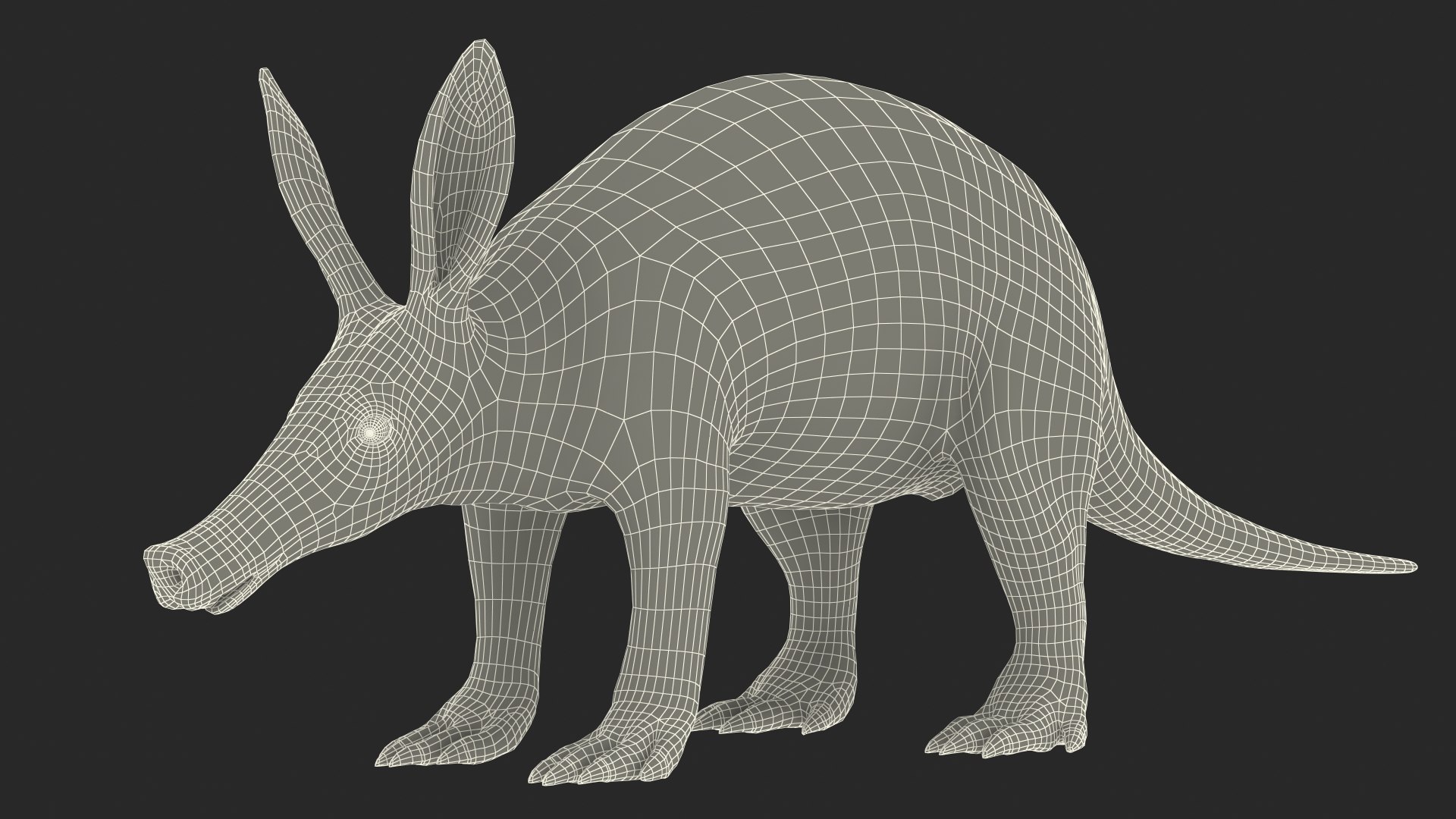 3D African Mammals Rigged for Cinema 4D Collection https://p.turbosquid.com/ts-thumb/G1/NH3OiU/jz/rigged_african_mammals_collection_for_cinema_4d_042/jpg/1768121935/1920x1080/fit_q87/af284d8ab3de17ec215a72caf58b2d632d4eb0b6/rigged_african_mammals_collection_for_cinema_4d_042.jpg