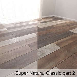 parquet floor model