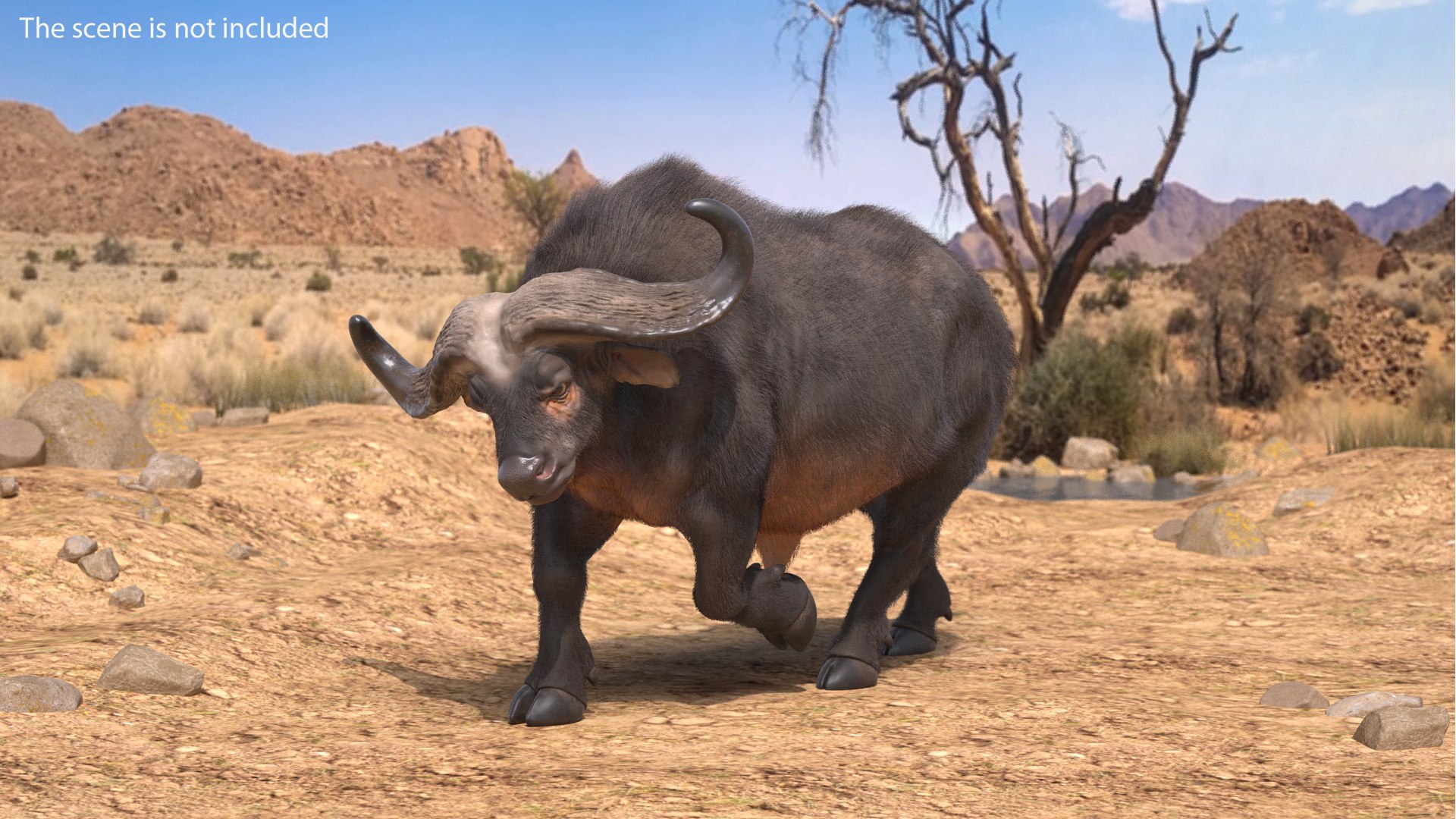 Cape Buffalo African Buffalo with Fur Rigged 3D model preview