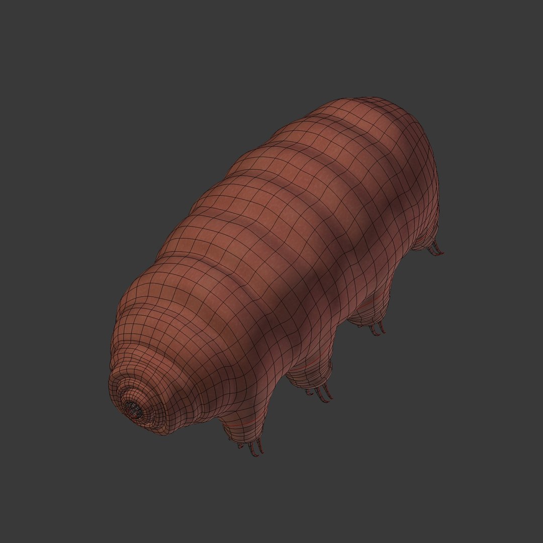 tardigrade anatomy model https://p.turbosquid.com/ts-thumb/G1/bNjCrj/DkdEOevL/i14/jpg/1561994453/1920x1080/fit_q87/cd85ca038ebdb23b7d561a8dca9946c362d04fba/i14.jpg