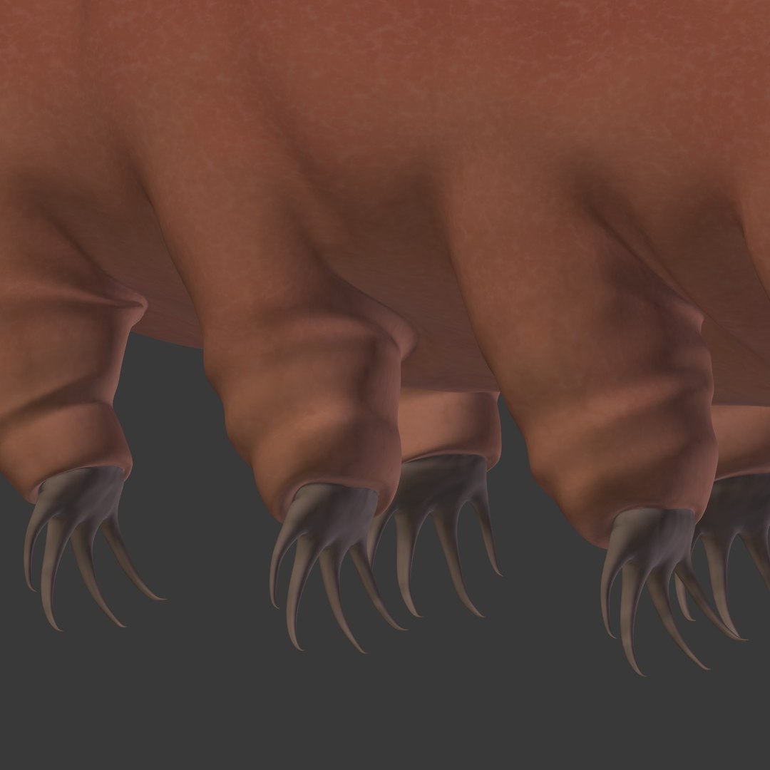 tardigrade anatomy model https://p.turbosquid.com/ts-thumb/G1/bNjCrj/KyPQMlln/i21/jpg/1561994453/1920x1080/fit_q87/3abdaeac69d4ecb523d011605b1e4d3c20e7f326/i21.jpg