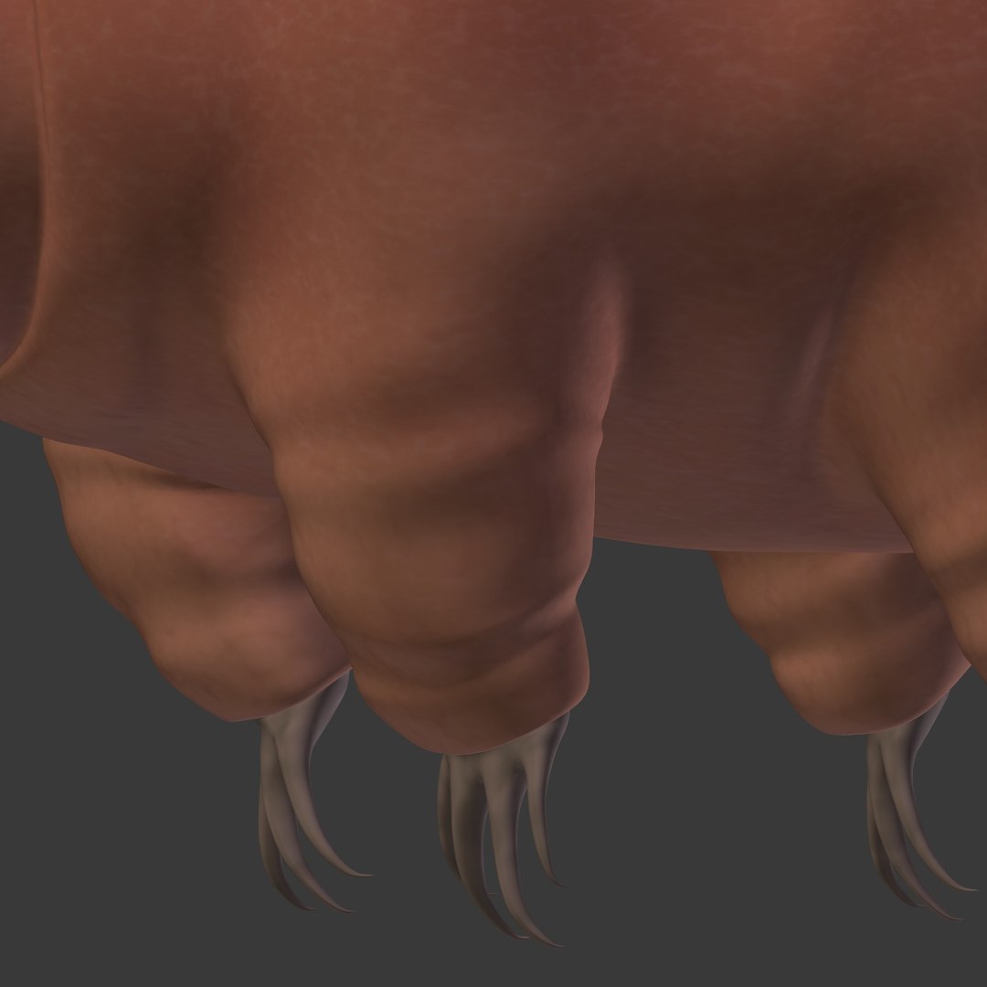 tardigrade anatomy model https://p.turbosquid.com/ts-thumb/G1/bNjCrj/aup24PWq/i19/jpg/1561994453/1920x1080/fit_q87/820cf4403d5851493bfbcb55ad1caa4c96ed3840/i19.jpg
