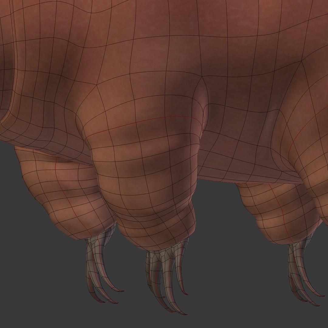 tardigrade anatomy model https://p.turbosquid.com/ts-thumb/G1/bNjCrj/fx2C9MGm/i20/jpg/1561994453/1920x1080/fit_q87/1524c6f84b41ac518963cf0bf8f6d327d89b4504/i20.jpg