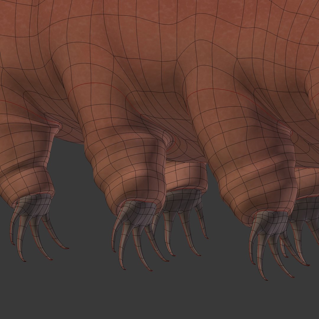 tardigrade anatomy model https://p.turbosquid.com/ts-thumb/G1/bNjCrj/z85y2EAm/i22/jpg/1561994454/1920x1080/fit_q87/7cfa471a62a0693860715d48a182f670bb841871/i22.jpg