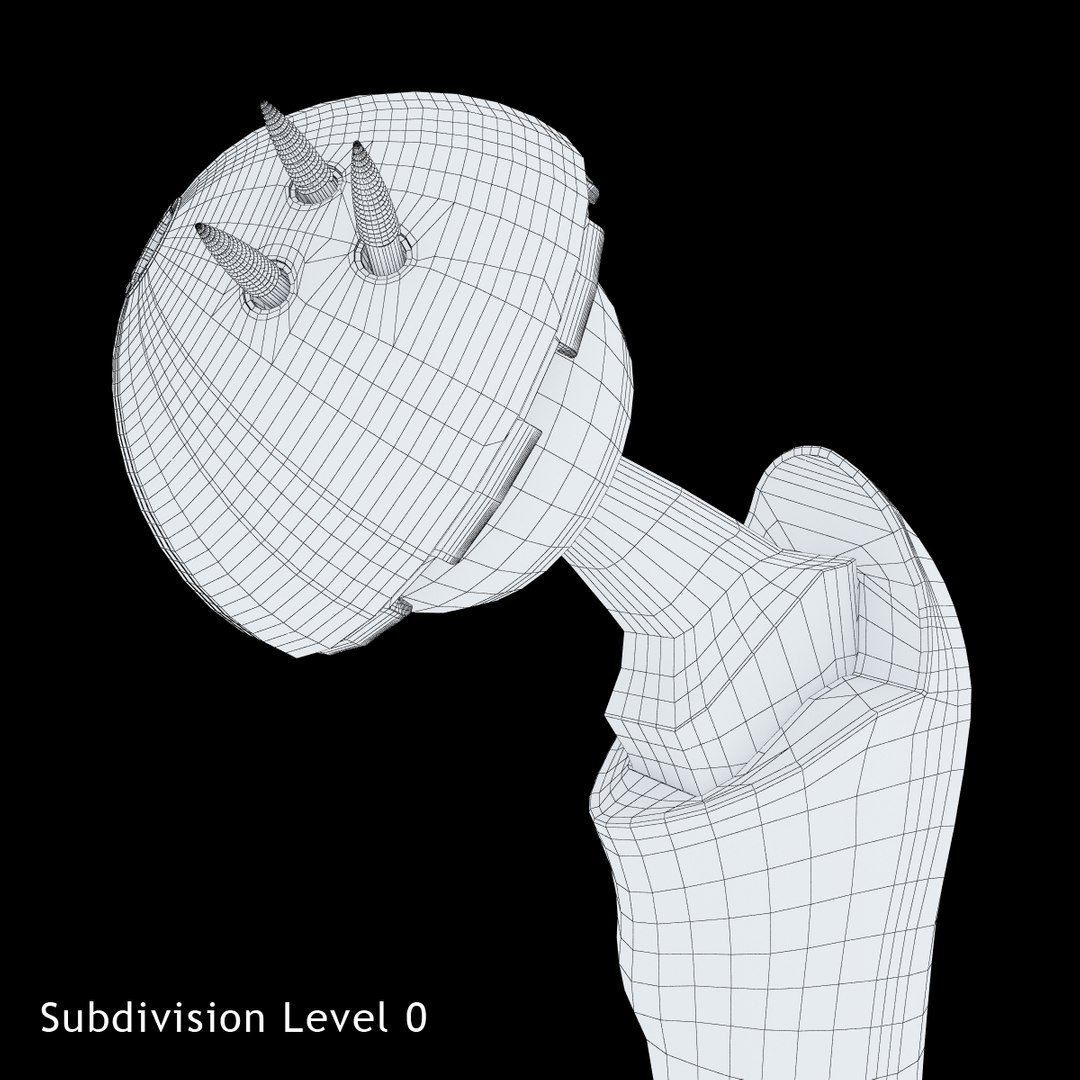 3ds femoral prosthesis tibia pelvis https://p.turbosquid.com/ts-thumb/G1/fKTkdO/wKH9p1sC/12/jpg/1422983019/1920x1080/fit_q87/9c70628e84bbd760a6c9b0bb6beb4998c89290fa/12.jpg