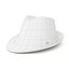 The Bastion Hat