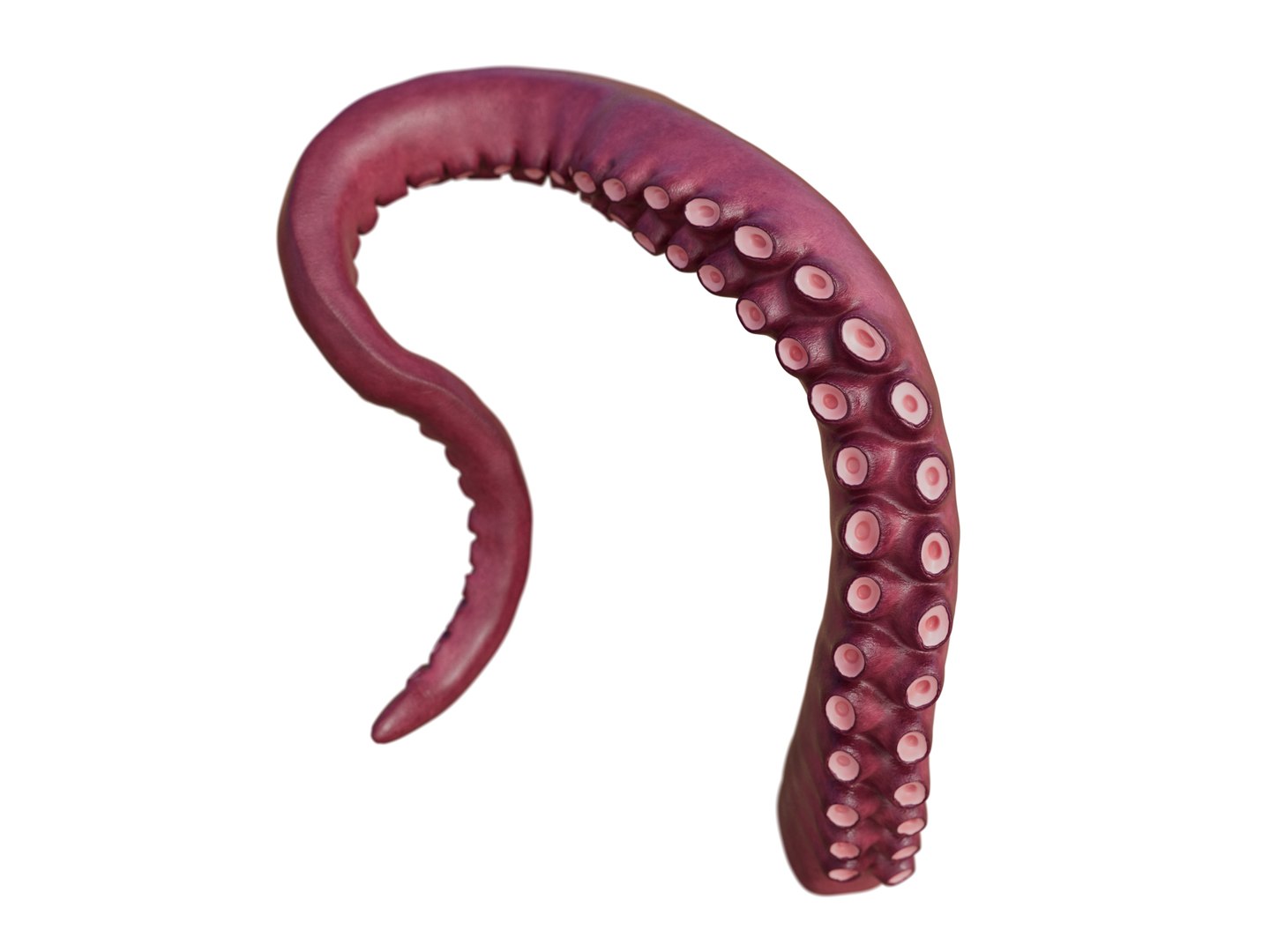 Tentacle Kraken Octopus Rigged 3D model https://p.turbosquid.com/ts-thumb/G1/irHobA/8Z/tent_000005/jpg/1763724298/1920x1080/fit_q87/a8aa9050c8fee20e9d13c1cc8192caf873fa71f7/tent_000005.jpg