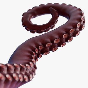Tentacle Kraken Octopus Rigged