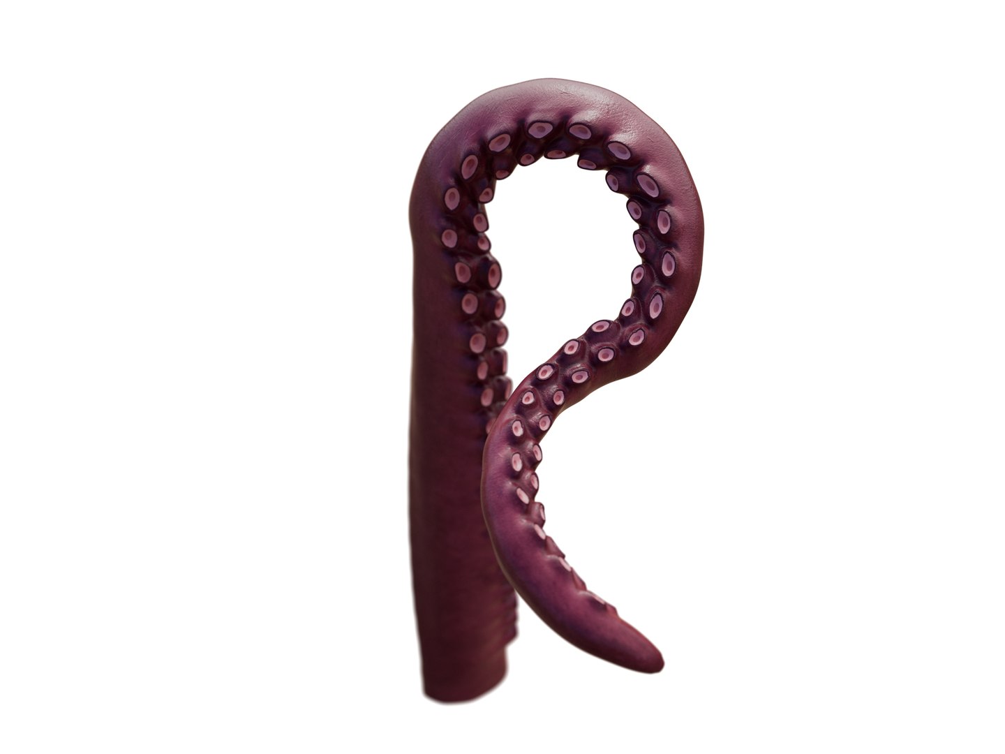 Tentacle Kraken Octopus Rigged 3D model https://p.turbosquid.com/ts-thumb/G1/irHobA/jV/tent_000004/jpg/1763724297/1920x1080/fit_q87/b6f25c109a58d2cf7261d4422e9cb945a33d6b2f/tent_000004.jpg