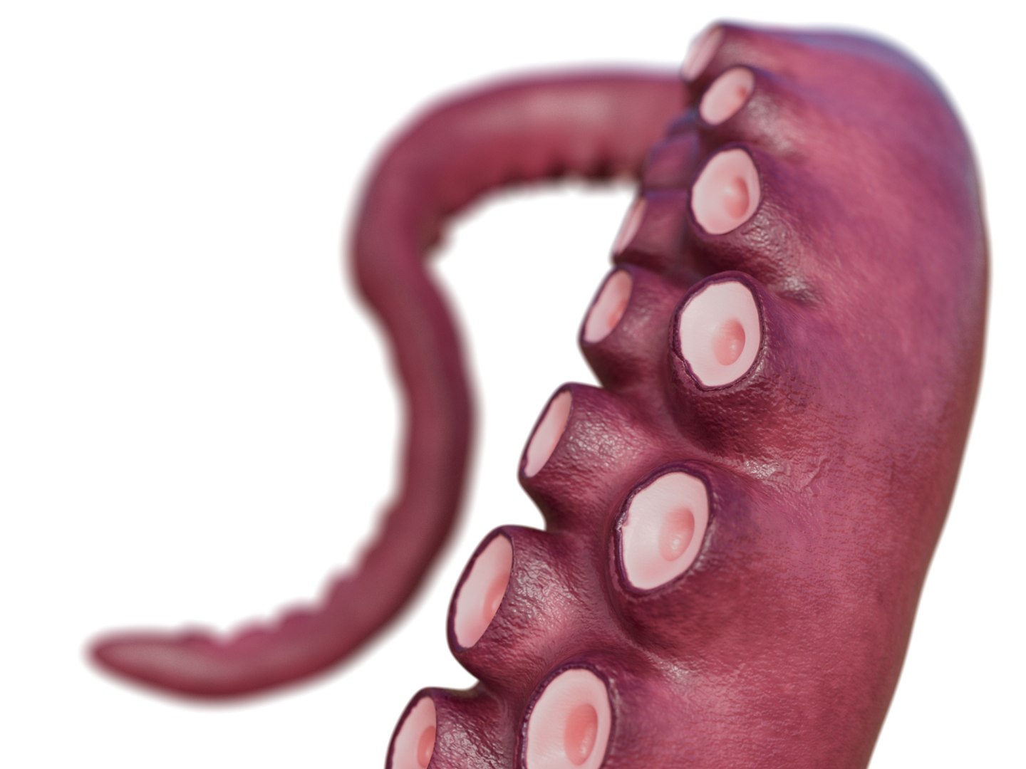 Tentacle Kraken Octopus Rigged 3D model https://p.turbosquid.com/ts-thumb/G1/irHobA/o8/tent_000006/jpg/1763724300/1920x1080/fit_q87/d12b452943e7a504110bfbe908725c10a7833798/tent_000006.jpg