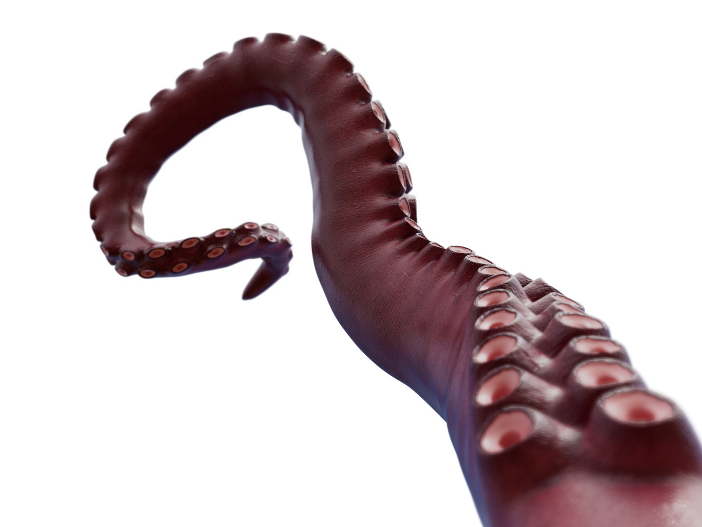 Tentacle Kraken Octopus Rigged 3D model https://p.turbosquid.com/ts-thumb/G1/irHobA/rI/tent_000003/jpg/1763724296/1920x1080/fit_q87/786e922c4d41bcc8c8926d0a6544bbccc0bd42ac/tent_000003.jpg