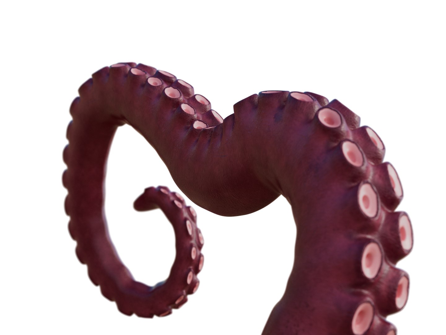 Tentacle Kraken Octopus Rigged 3D model https://p.turbosquid.com/ts-thumb/G1/irHobA/vb/tent_000001/jpg/1763724297/1920x1080/fit_q87/71cbb3250446a1536ec1e6f7abd92800fab3f316/tent_000001.jpg
