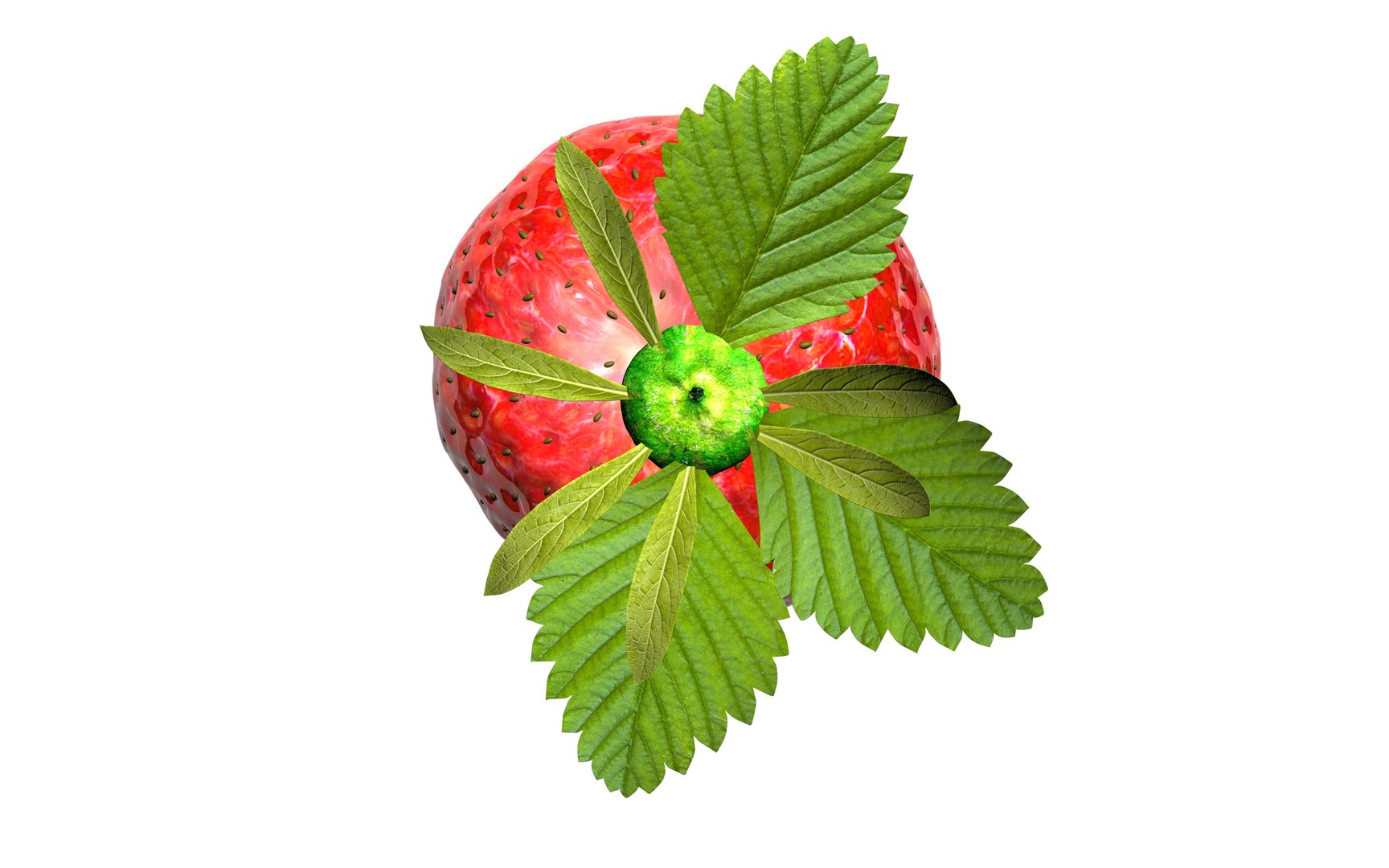 3d strawberry background model https://p.turbosquid.com/ts-thumb/G1/lGOziG/BDspc6t2/str2_0083/jpg/1428763285/1920x1080/fit_q87/a01217e1a934882b495e049e0c1535278e3f252e/str2_0083.jpg