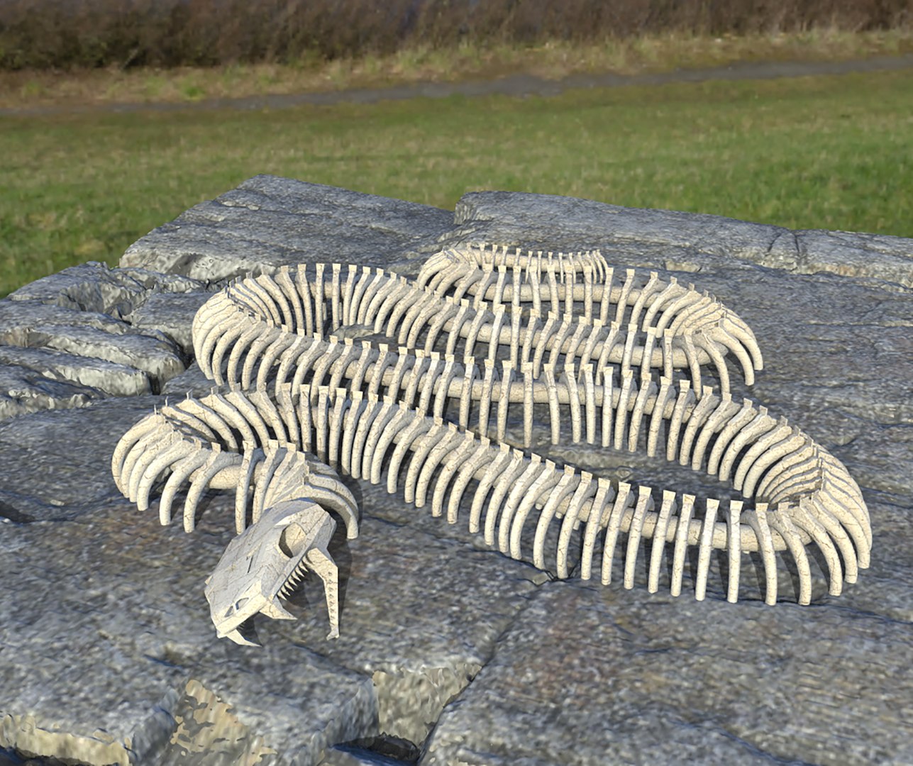 3D Model Snake Skeleton - TurboSquid 2049659