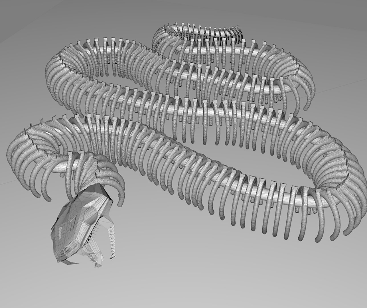 3D Model Snake Skeleton - TurboSquid 2049659