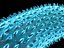 bacillus 2