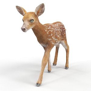3D White-Tailed Fawn Deer Jumping Fur Animated Rigged for Maya model