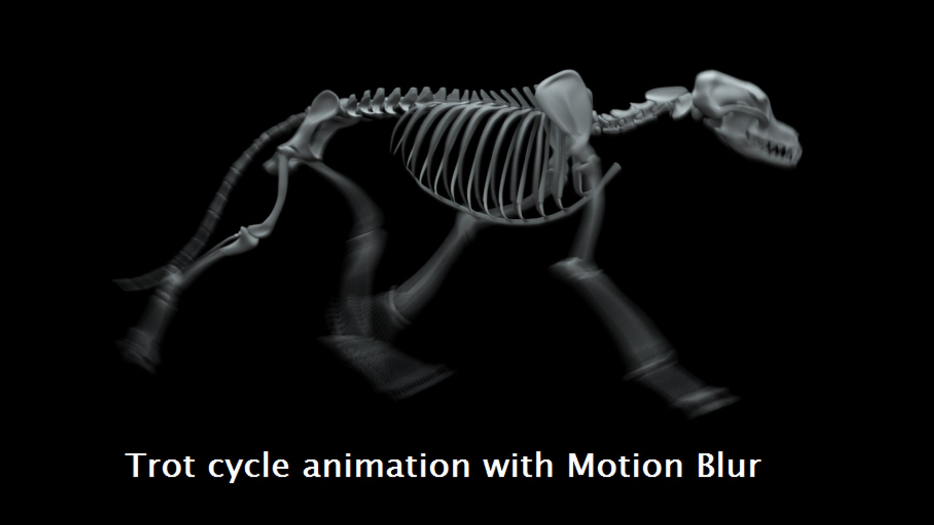 canine skeleton bones animation model https://p.turbosquid.com/ts-thumb/G2/3Rknf1/6AScBmX3/vlcsnap2019051320h08m04s414_2/png/1557795120/1920x1080/fit_q87/c2d090eed434aed42f125008a8e98bc730518e9c/vlcsnap2019051320h08m04s414_2.jpg
