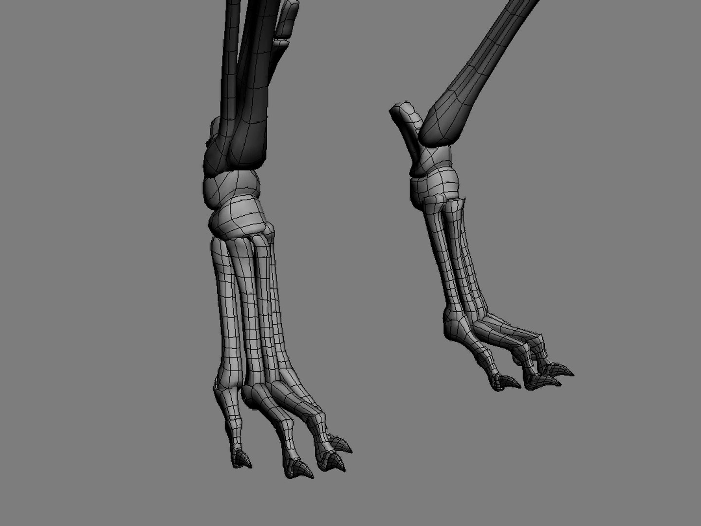 canine skeleton bones animation model https://p.turbosquid.com/ts-thumb/G2/3Rknf1/qo7usVNi/cm_025/png/1557790354/1920x1080/fit_q87/ba4340fcfd841d02bfdd82555f7543ceeb178e15/cm_025.jpg