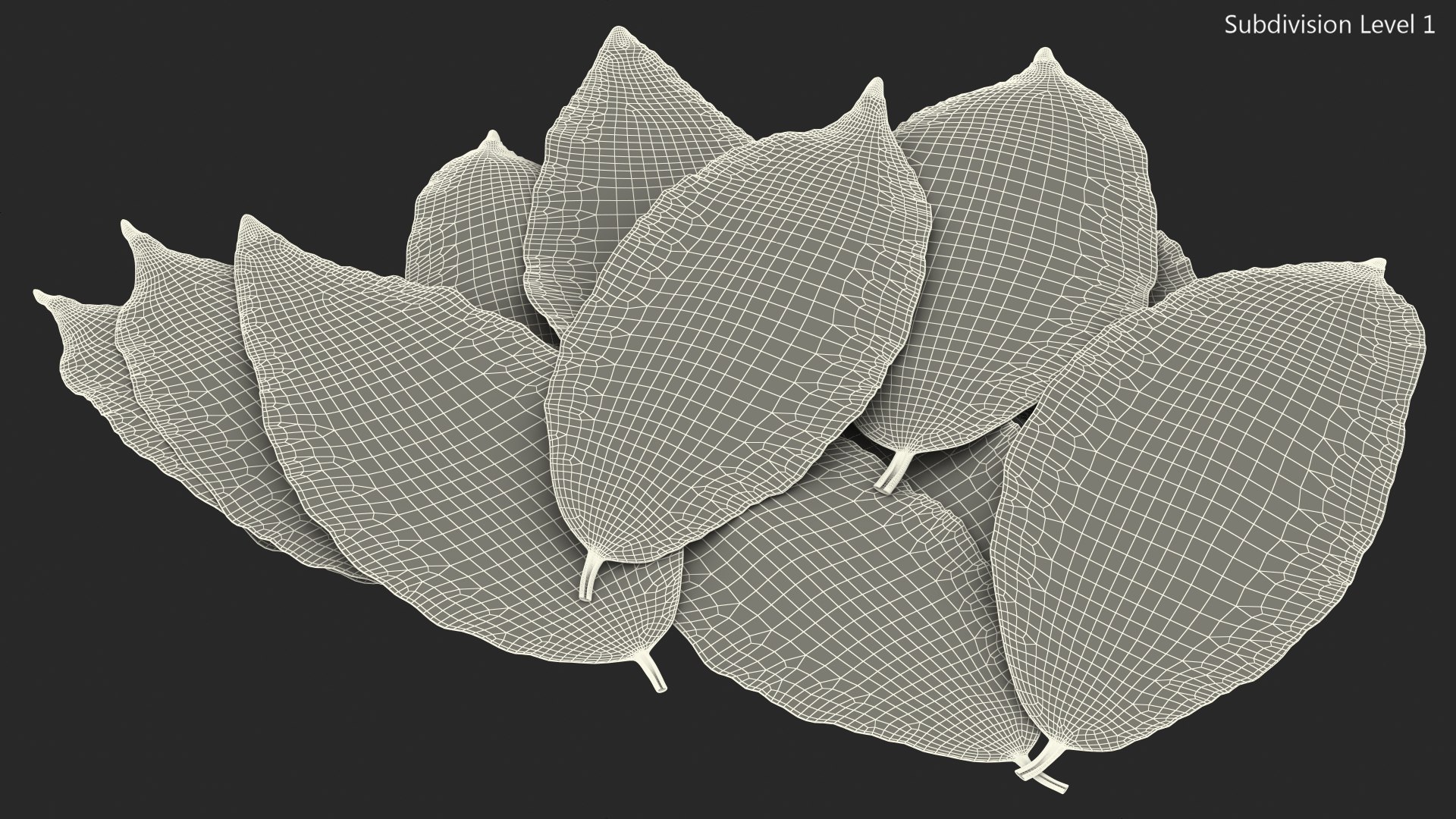 3D laurel leaves model https://p.turbosquid.com/ts-thumb/G2/7LTg4t/8N/laurelleaves3dsmodel023/jpg/1612031146/1920x1080/fit_q87/bd1613162b28d6a49388fd4325bffe1577930d89/laurelleaves3dsmodel023.jpg