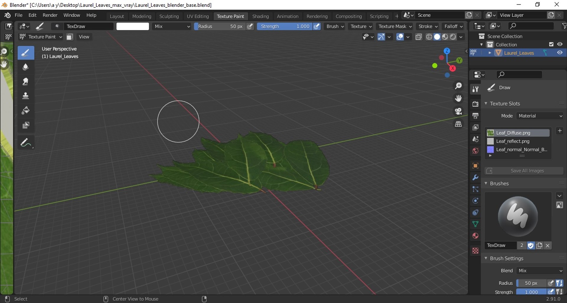 3D laurel leaves model https://p.turbosquid.com/ts-thumb/G2/7LTg4t/My/laurelleaves3dsmodel021/jpg/1612031140/1920x1080/fit_q87/88d6362f8b8c12147fa85d822decb1b2a22b62ba/laurelleaves3dsmodel021.jpg