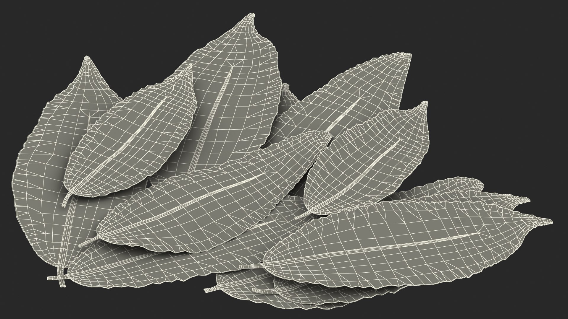 3D laurel leaves model https://p.turbosquid.com/ts-thumb/G2/7LTg4t/OK/laurelleaves3dsmodel028/jpg/1612031160/1920x1080/fit_q87/2bcebe793232e0764509fdc79f8171093e7cd6ca/laurelleaves3dsmodel028.jpg