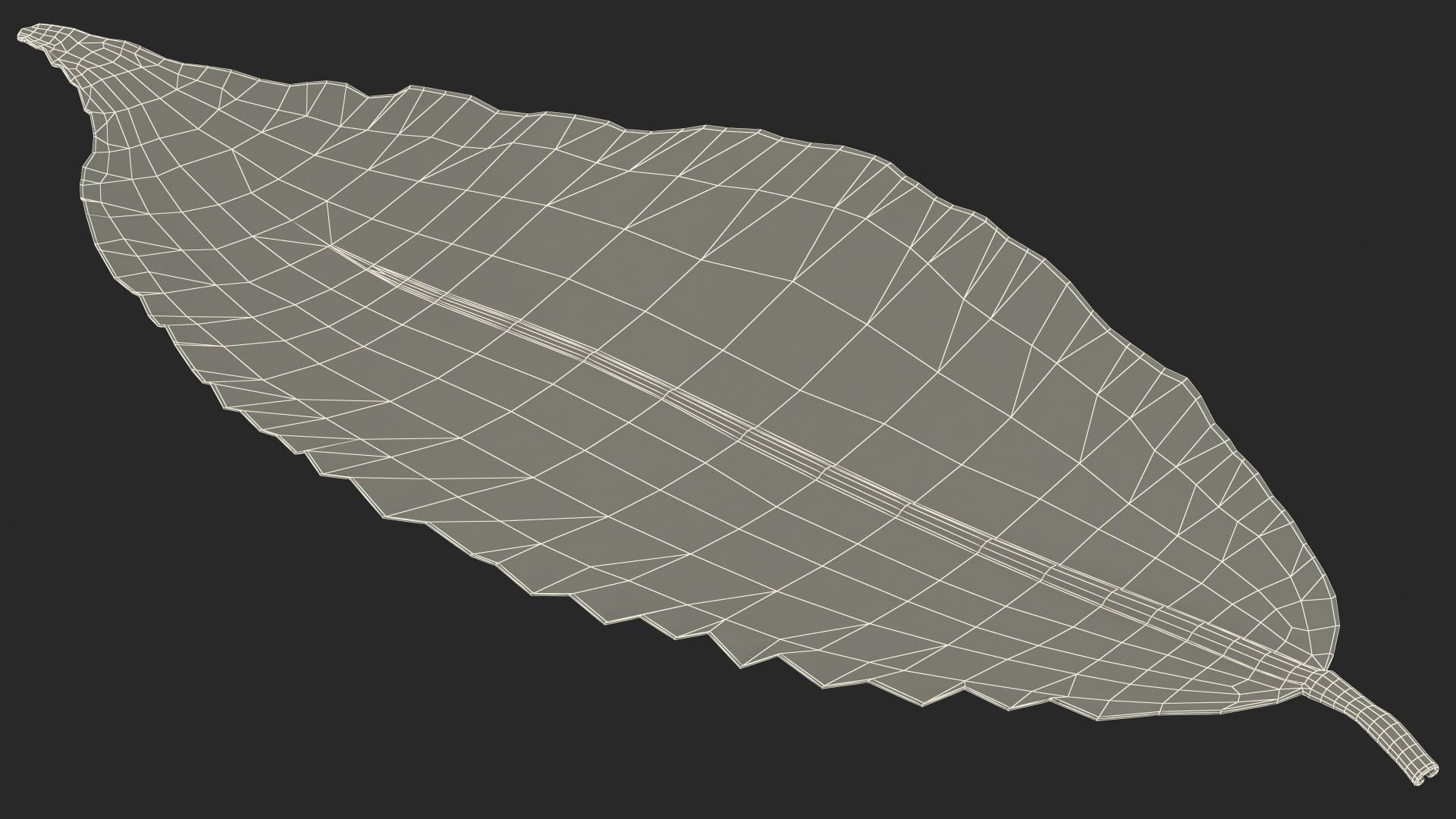 3D laurel leaves model https://p.turbosquid.com/ts-thumb/G2/7LTg4t/Ok/laurelleaves3dsmodel031/jpg/1612031170/1920x1080/fit_q87/601856635972bdd2cc891af20c29728d51419941/laurelleaves3dsmodel031.jpg