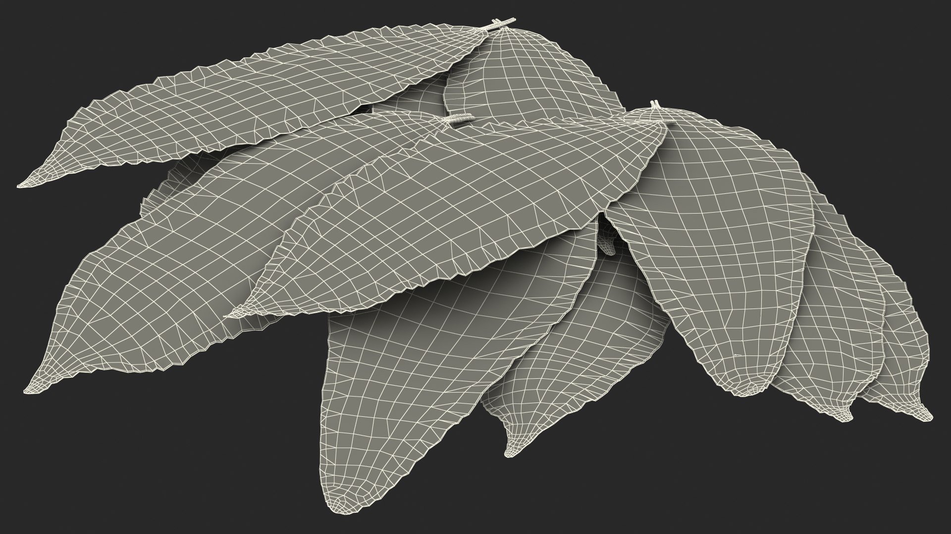 3D laurel leaves model https://p.turbosquid.com/ts-thumb/G2/7LTg4t/Os/laurelleaves3dsmodel027/jpg/1612031157/1920x1080/fit_q87/e4a0fc5b49b579f6ce8a4052a774e6c001abe3ed/laurelleaves3dsmodel027.jpg