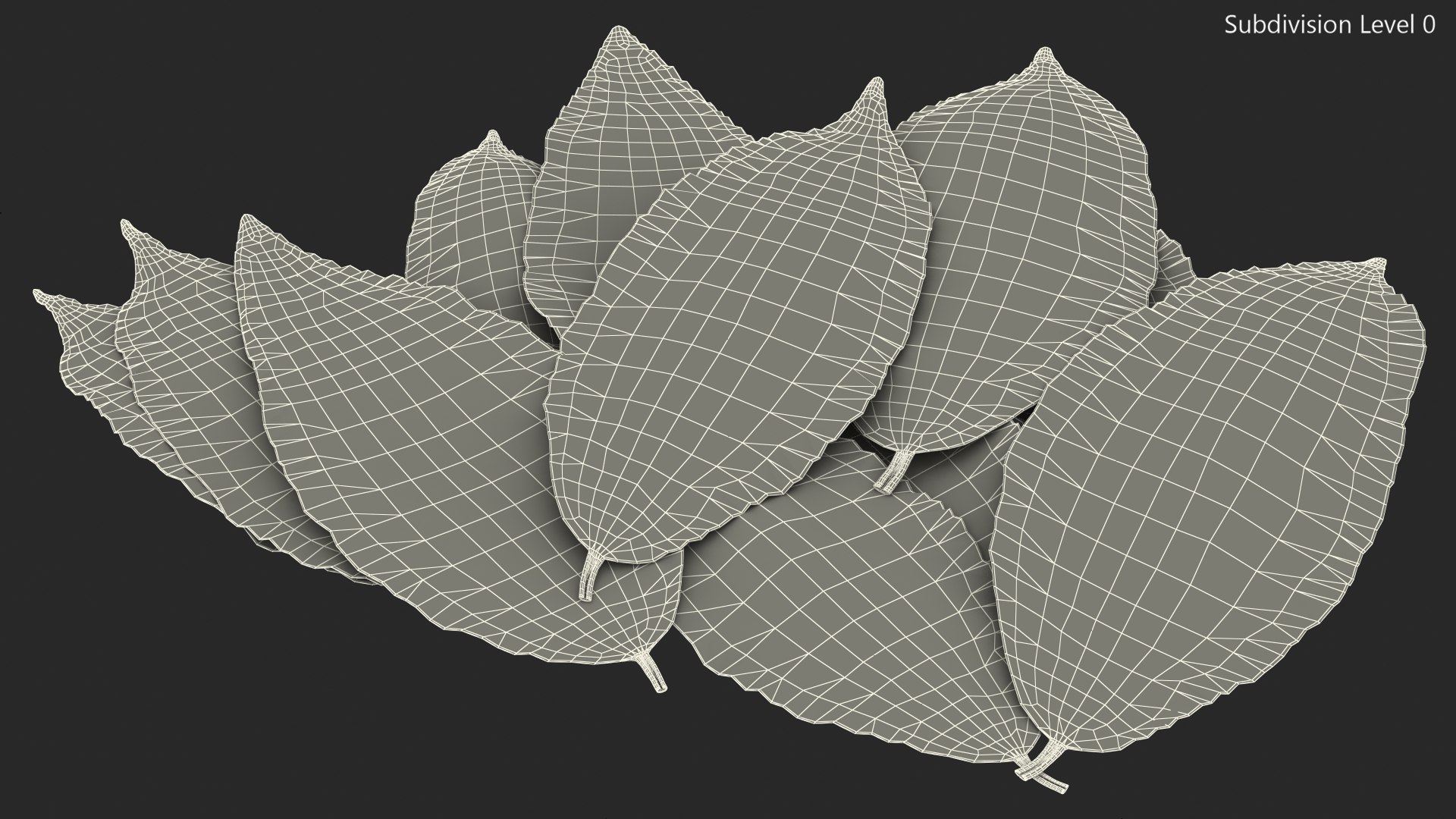 3D laurel leaves model https://p.turbosquid.com/ts-thumb/G2/7LTg4t/Pv/laurelleaves3dsmodel022/jpg/1612031143/1920x1080/fit_q87/d09a30541a7de094ee2de9a3beb2a400bd267454/laurelleaves3dsmodel022.jpg