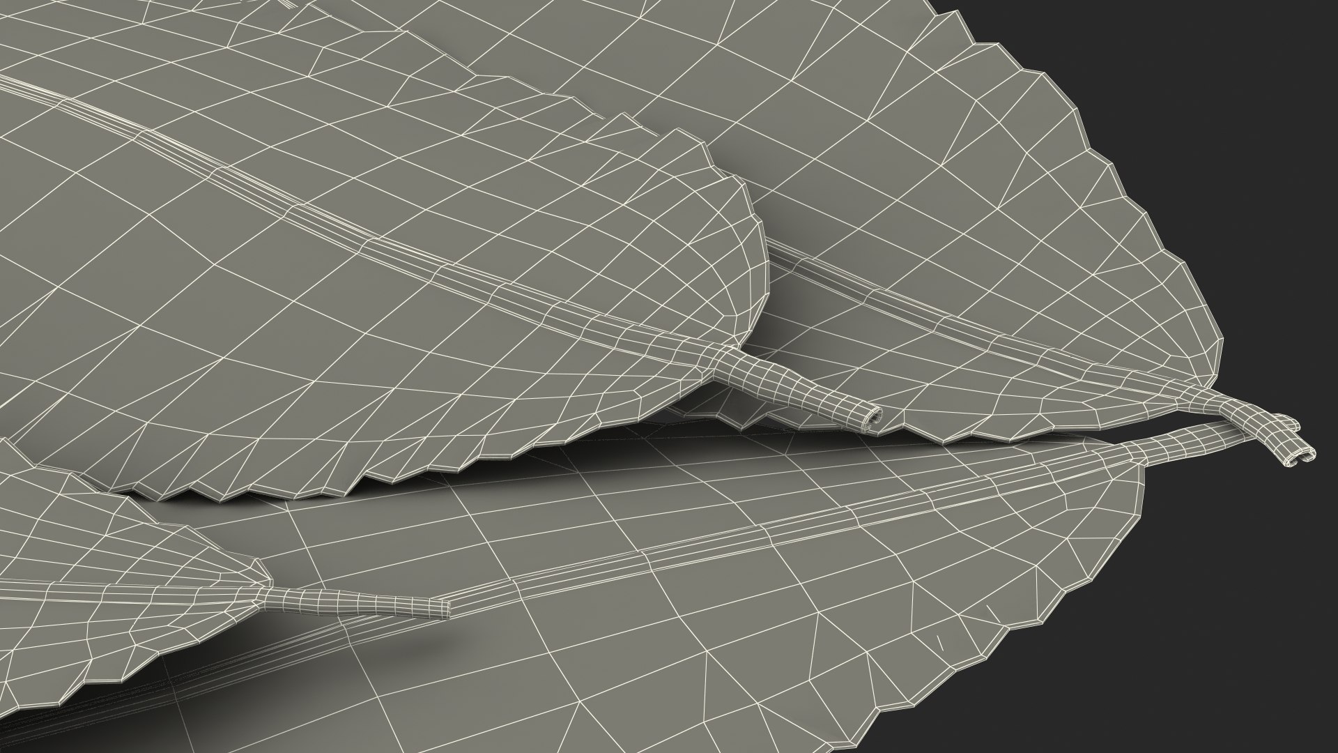 3D laurel leaves model https://p.turbosquid.com/ts-thumb/G2/7LTg4t/TR/laurelleaves3dsmodel029/jpg/1612031164/1920x1080/fit_q87/3c05e08c3083f72cb8179a7bbaef2eeeb27a37d7/laurelleaves3dsmodel029.jpg