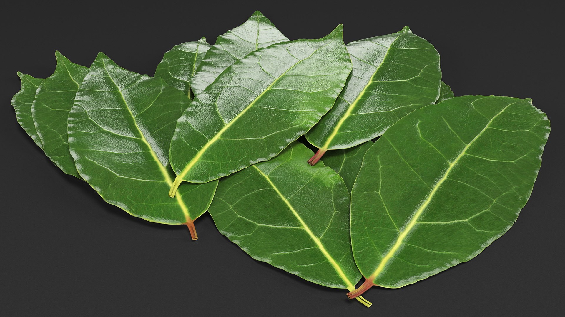 3D laurel leaves model https://p.turbosquid.com/ts-thumb/G2/7LTg4t/qX/laurelleaves3dsmodel006/jpg/1612031098/1920x1080/fit_q87/e8e6e4925715233a1ef67cfb8319c71e5ae0f2fd/laurelleaves3dsmodel006.jpg