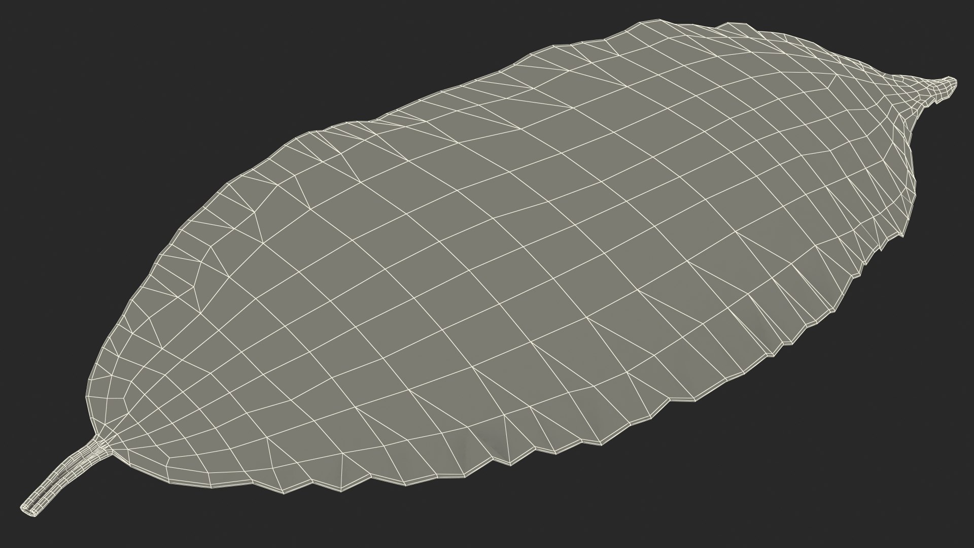 3D laurel leaves model https://p.turbosquid.com/ts-thumb/G2/7LTg4t/r0/laurelleaves3dsmodel032/jpg/1612031173/1920x1080/fit_q87/9cf658bfce9b39f03760c6b44b74f1acbb50f06d/laurelleaves3dsmodel032.jpg
