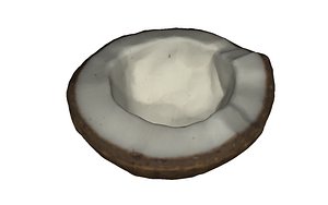 3D half coconut model