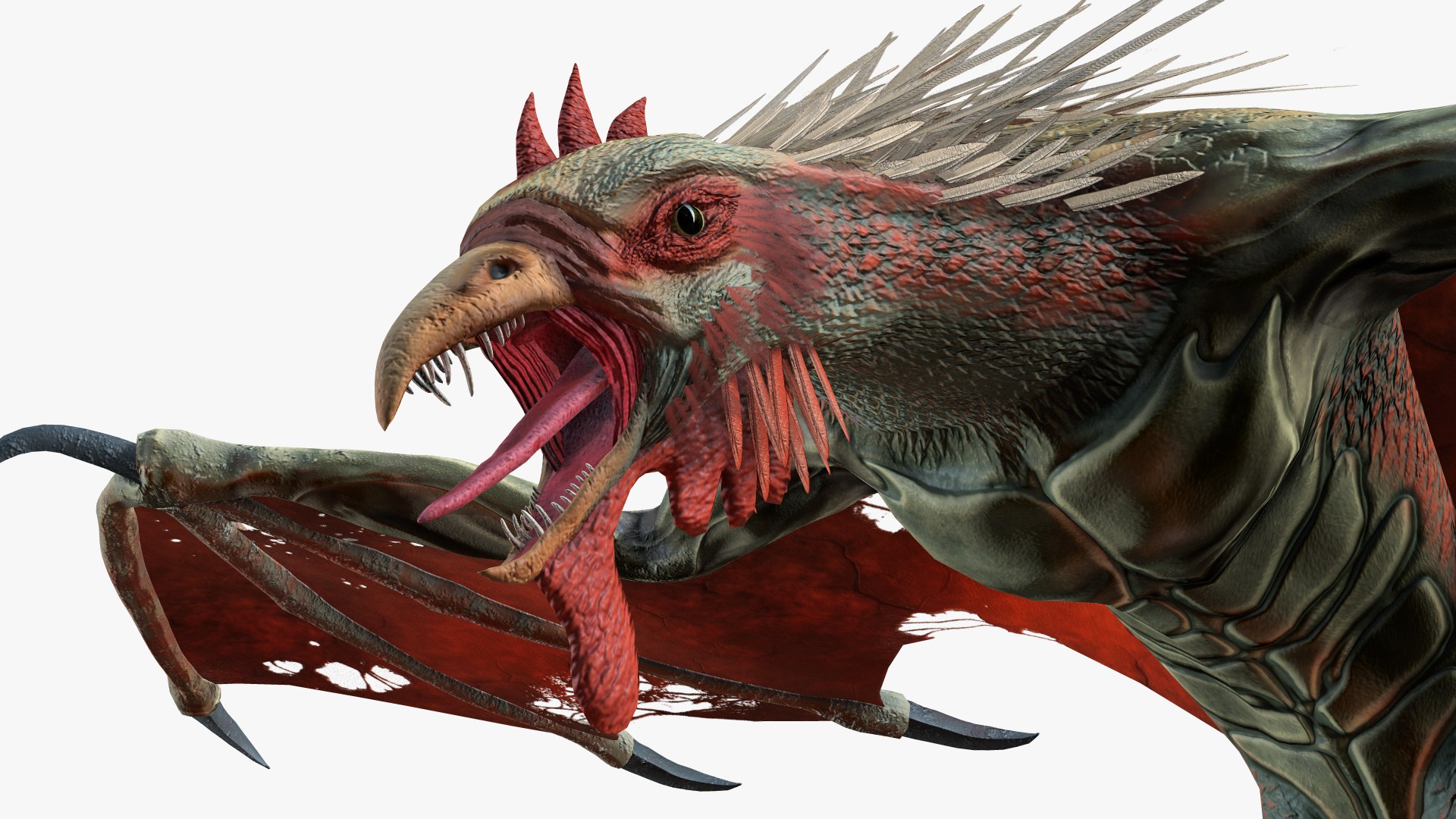 Cockatrice 3D model https://p.turbosquid.com/ts-thumb/G2/QMgAYn/1R/screenturbo19/png/1619012216/1920x1080/fit_q87/de508c38dd354277f2dc122af947c6da26c0a905/screenturbo19.jpg