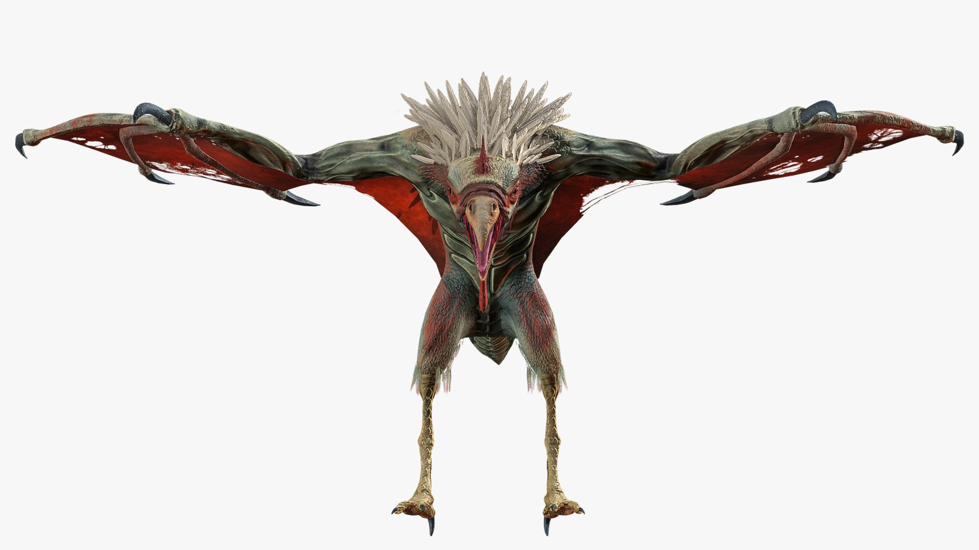 Cockatrice 3D model https://p.turbosquid.com/ts-thumb/G2/QMgAYn/6W/screenturbo12/png/1619012196/1920x1080/fit_q87/7aceaf881a2cdde659eee88fa2ec9bc55972d4b6/screenturbo12.jpg