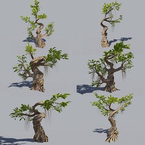 6 Trees collection